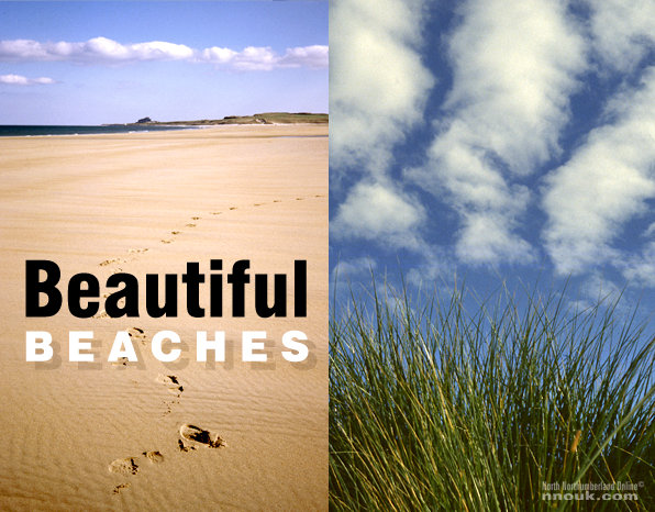 Beaches - title and dunes