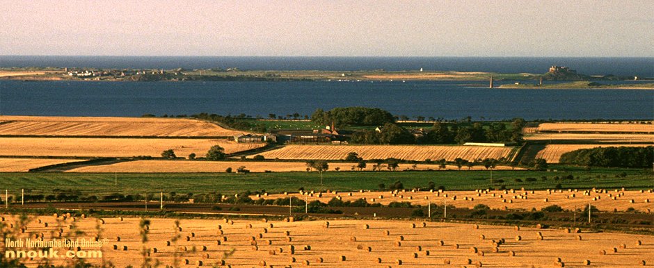 An late evening summer view of Holy Island
