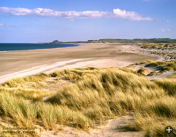 The beach at Ross Back Sands, looking towards Budle Bay and Bamburgh castle