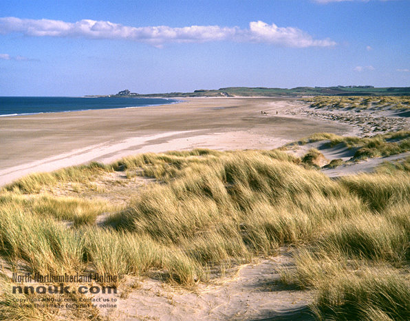 The beach at Ross Back Sands, looking towards Budle Bay and Bamburgh castle