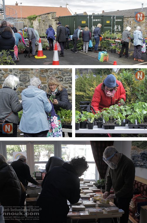 Annual plant sale at Belford, 2021