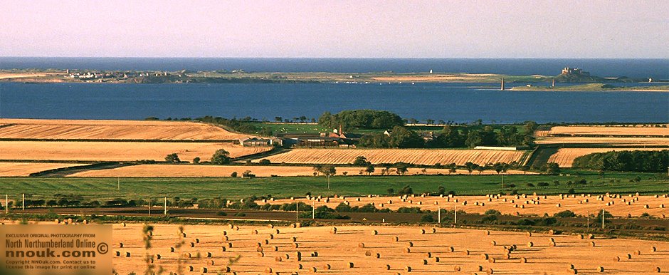 An evening summer view of Holy Island