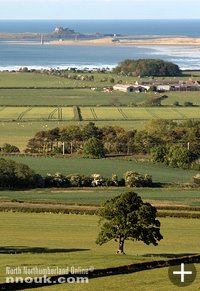 Holy Island seen from the old A1 near Belford