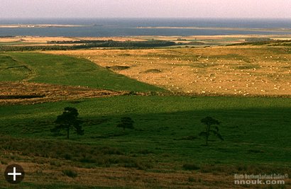 Looking back towards the coast from near Cuthbert's Cave