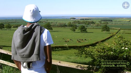 Looking towards Holy Island from the old route of the A1 road