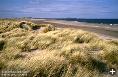 Ross Back Sands looking towards Holy Island